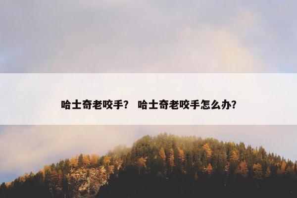哈士奇老咬手？ 哈士奇老咬手怎么办？