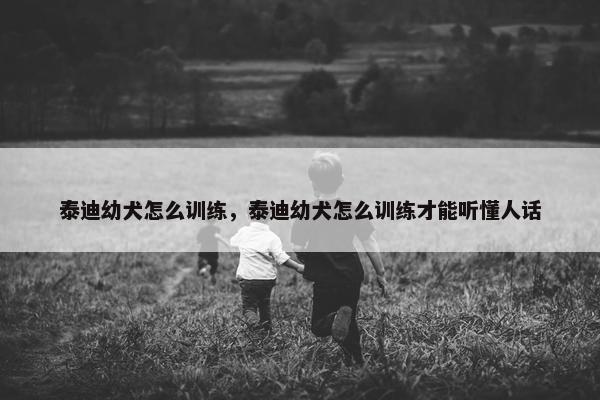 泰迪幼犬怎么训练，泰迪幼犬怎么训练才能听懂人话