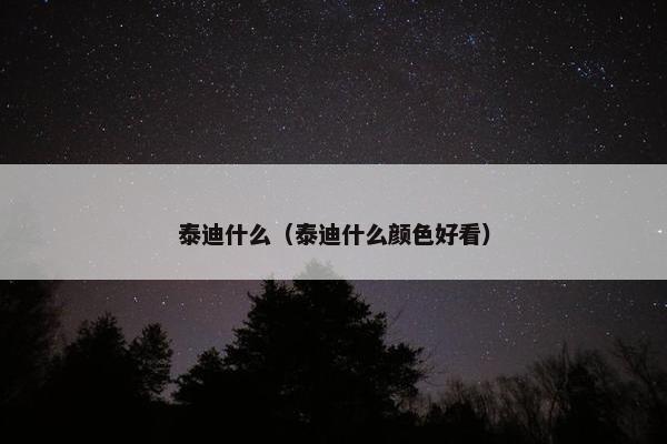 泰迪什么（泰迪什么颜色好看）