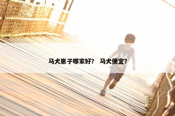 马犬崽子哪家好？ 马犬便宜？