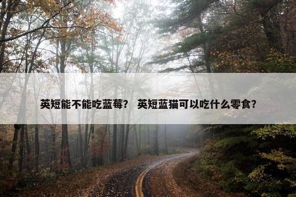 英短能不能吃蓝莓？ 英短蓝猫可以吃什么零食？