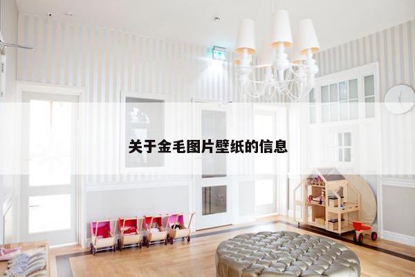 关于金毛图片壁纸的信息