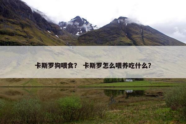 卡斯罗狗喂食？ 卡斯罗怎么喂养吃什么？