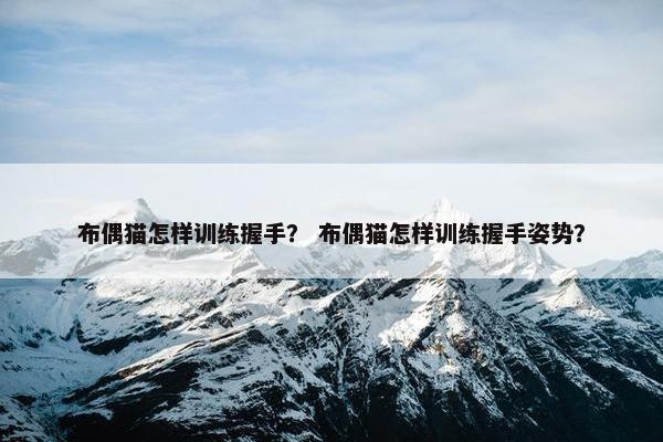 布偶猫怎样训练握手？ 布偶猫怎样训练握手姿势？