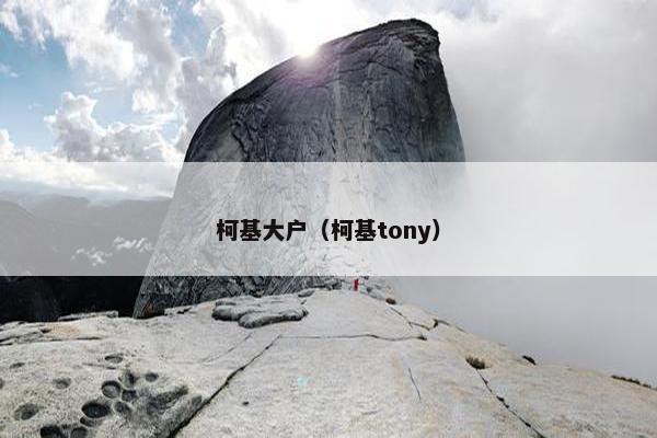 柯基大户（柯基tony）
