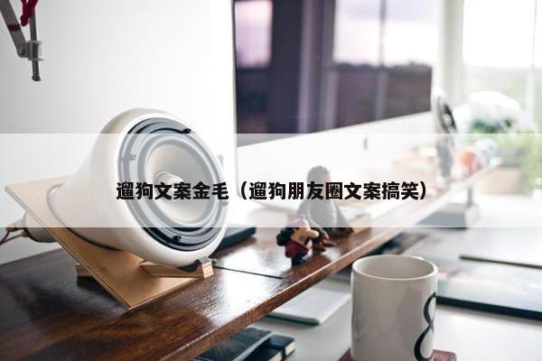 遛狗文案金毛（遛狗朋友圈文案搞笑）