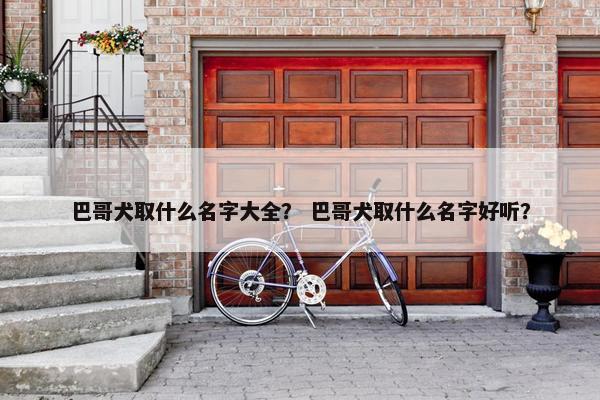 巴哥犬取什么名字大全？ 巴哥犬取什么名字好听？