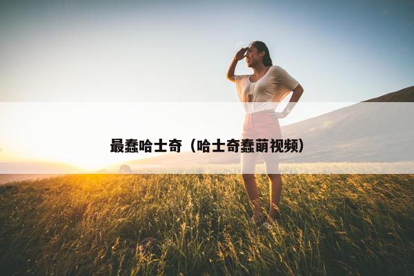 最蠢哈士奇（哈士奇蠢萌视频）