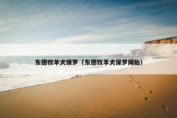 东德牧羊犬保罗（东德牧羊犬保罗同胎）