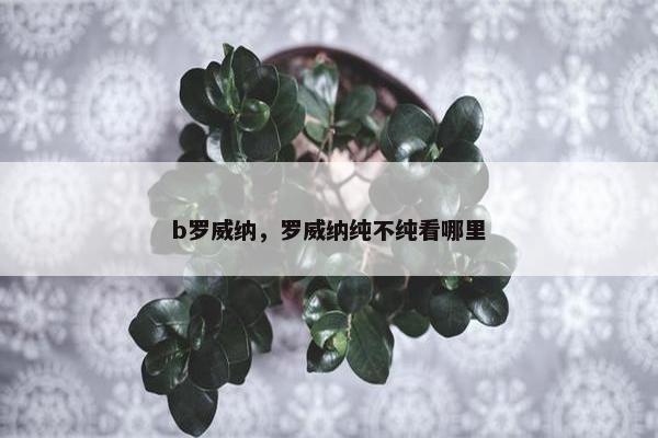 b罗威纳，罗威纳纯不纯看哪里