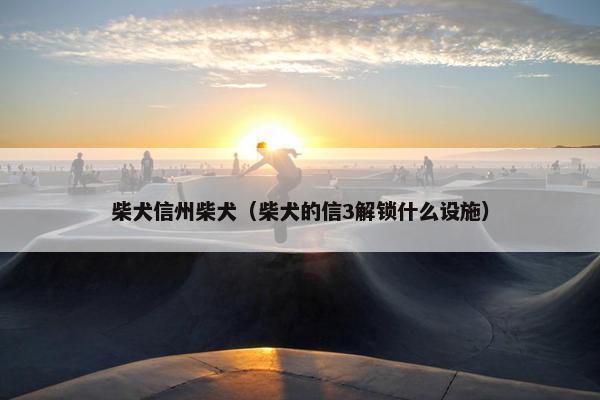 柴犬信州柴犬（柴犬的信3解锁什么设施）