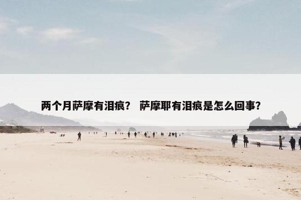 两个月萨摩有泪痕？ 萨摩耶有泪痕是怎么回事？
