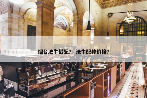 烟台法牛借配？ 法牛配种价格？