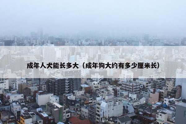 成年人犬能长多大（成年狗大约有多少厘米长）