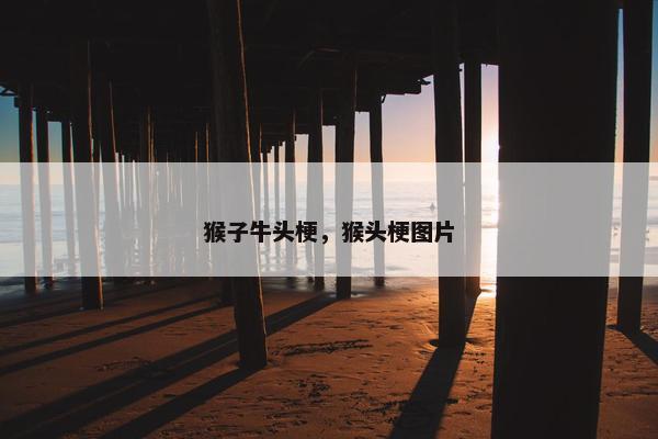 猴子牛头梗，猴头梗图片