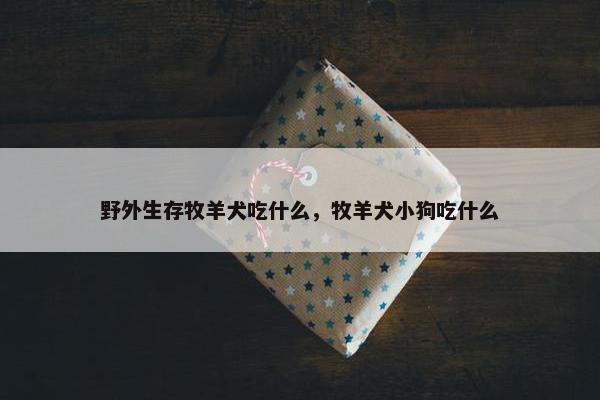 野外生存牧羊犬吃什么，牧羊犬小狗吃什么