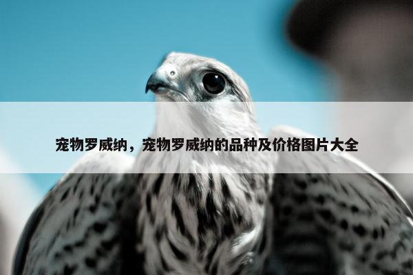 宠物罗威纳，宠物罗威纳的品种及价格图片大全