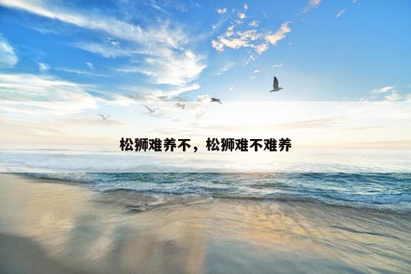 松狮难养不，松狮难不难养