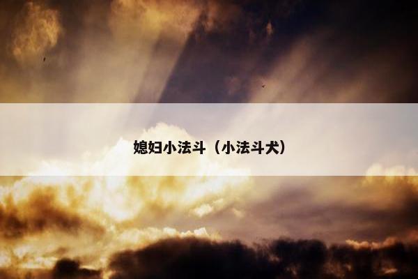 媳妇小法斗（小法斗犬）