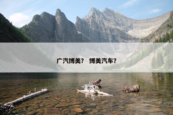 广汽博美？ 博美汽车？