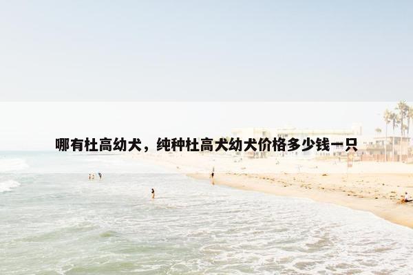 哪有杜高幼犬，纯种杜高犬幼犬价格多少钱一只