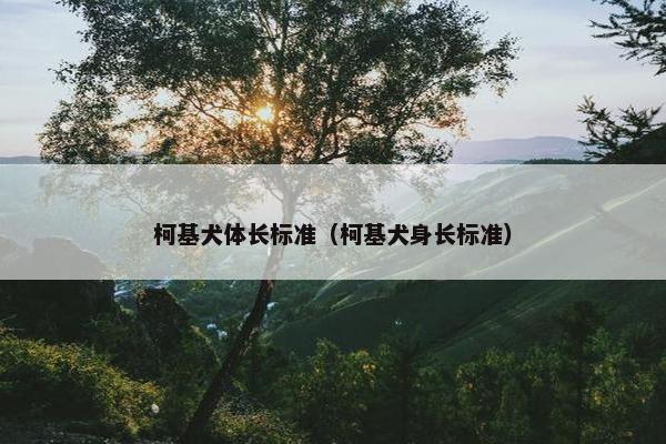 柯基犬体长标准（柯基犬身长标准）