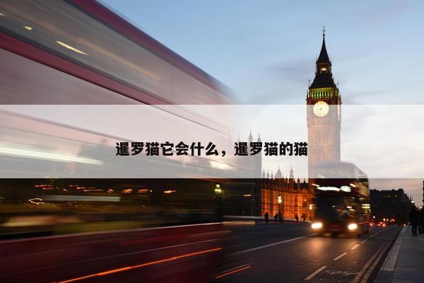 暹罗猫它会什么，暹罗猫的猫