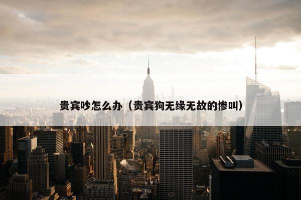 贵宾吵怎么办（贵宾狗无缘无故的惨叫）