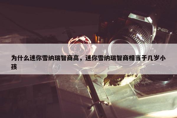 为什么迷你雪纳瑞智商高，迷你雪纳瑞智商相当于几岁小孩