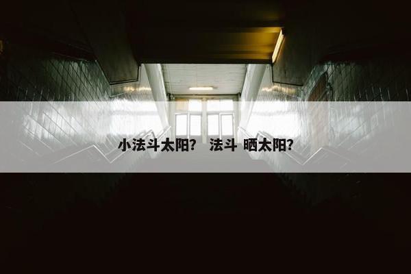 小法斗太阳？ 法斗 晒太阳？