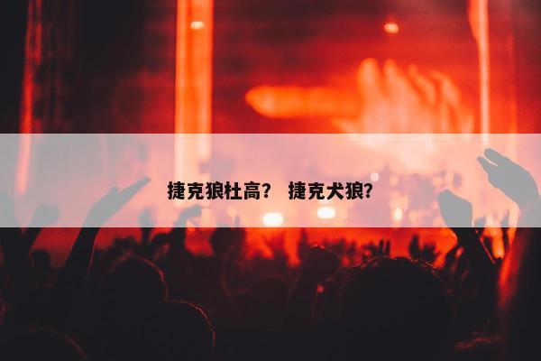 捷克狼杜高？ 捷克犬狼？