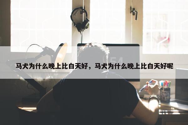 马犬为什么晚上比白天好，马犬为什么晚上比白天好呢