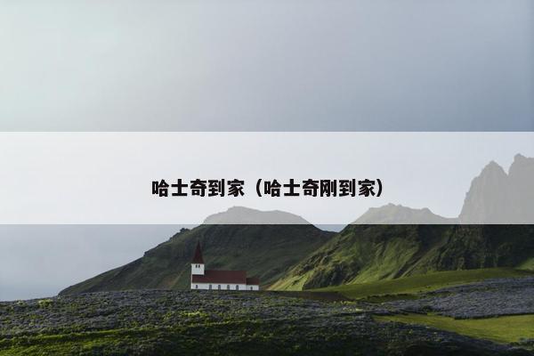 哈士奇到家（哈士奇刚到家）