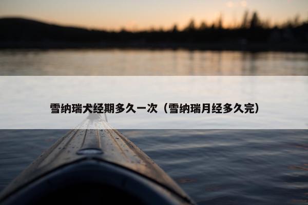 雪纳瑞犬经期多久一次（雪纳瑞月经多久完）