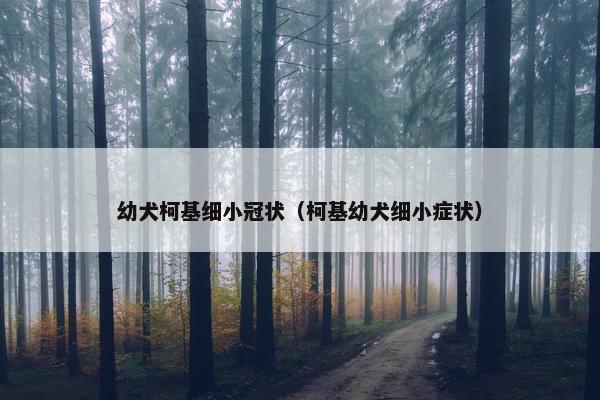 幼犬柯基细小冠状（柯基幼犬细小症状）