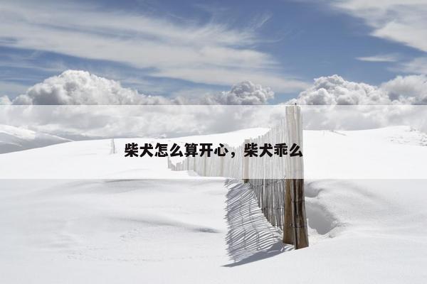 柴犬怎么算开心，柴犬乖么
