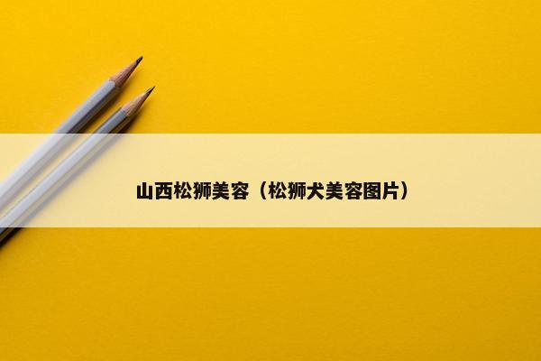 山西松狮美容（松狮犬美容图片）