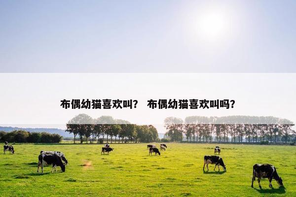 布偶幼猫喜欢叫？ 布偶幼猫喜欢叫吗？