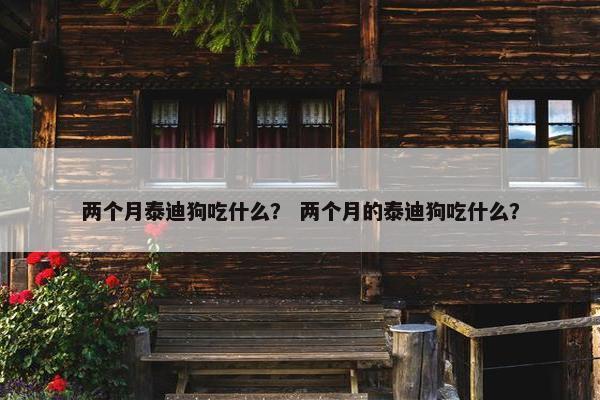 两个月泰迪狗吃什么？ 两个月的泰迪狗吃什么？