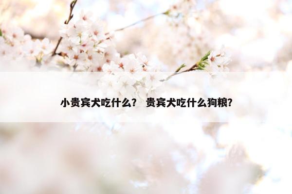 小贵宾犬吃什么？ 贵宾犬吃什么狗粮？