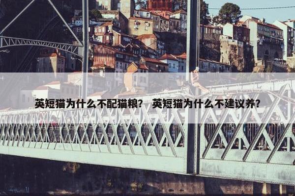 英短猫为什么不配猫粮？ 英短猫为什么不建议养？