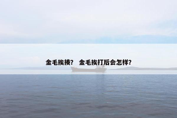金毛挨揍？ 金毛挨打后会怎样？