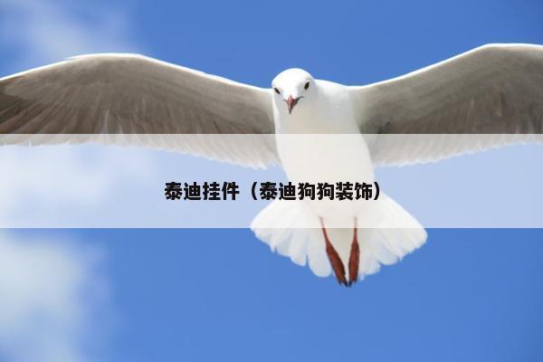 泰迪挂件（泰迪狗狗装饰）