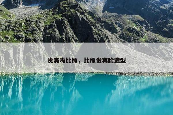 贵宾嘴比熊，比熊贵宾脸造型