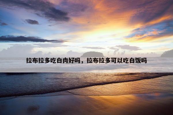 拉布拉多吃白肉好吗，拉布拉多可以吃白饭吗