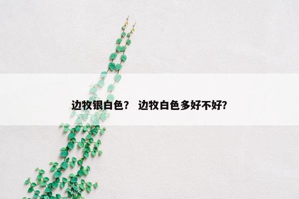 边牧银白色？ 边牧白色多好不好？