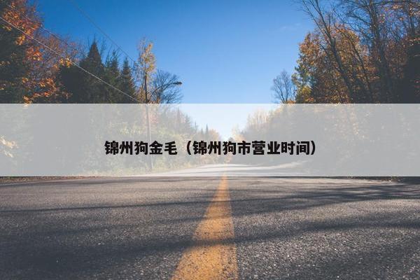 锦州狗金毛（锦州狗市营业时间）