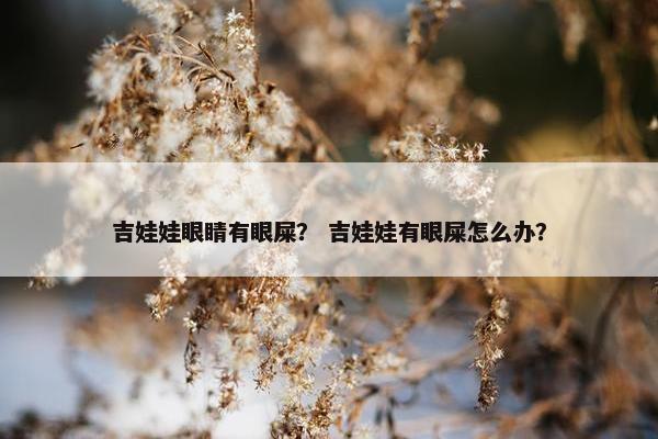 吉娃娃眼睛有眼屎？ 吉娃娃有眼屎怎么办？