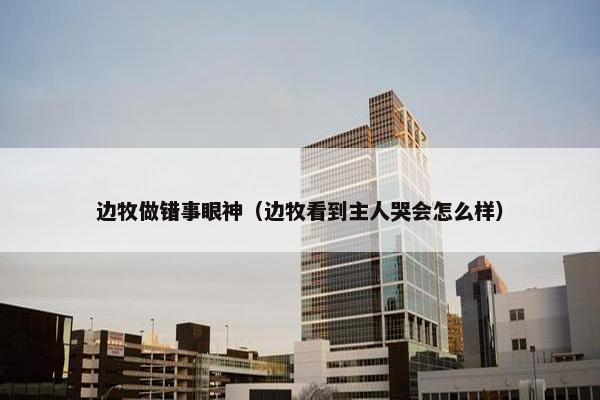 边牧做错事眼神（边牧看到主人哭会怎么样）