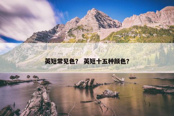 英短常见色？ 英短十五种颜色？